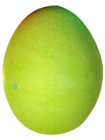 yellow egg face creator